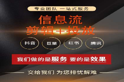 案例对比：SEO与SEM优化效果深度分析